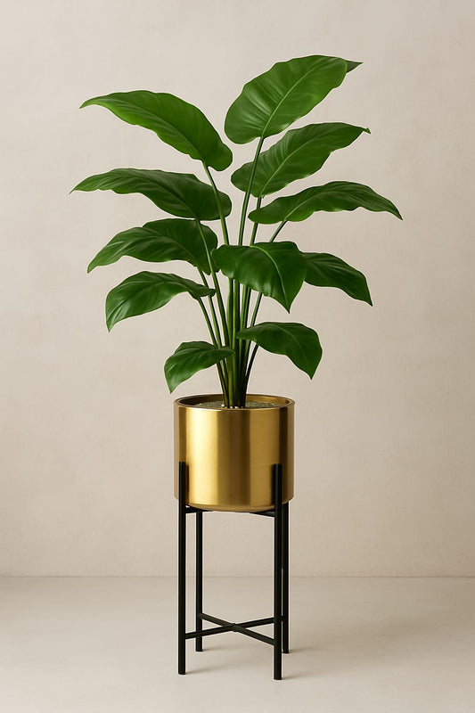 Elegant Leaf Plant with Stand