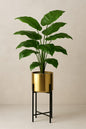 Elegant Leaf Plant with Stand