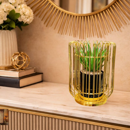 Noor-e-Aangan Gold Cage Planter