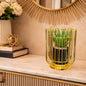 Noor-e-Aangan Gold Cage Planter