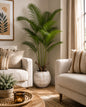 Palm Indoor Plant with Rustic Textured Pot