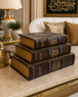 Vintage Book Storage Box Set