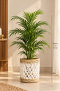 Wooven Planter Basket Pot